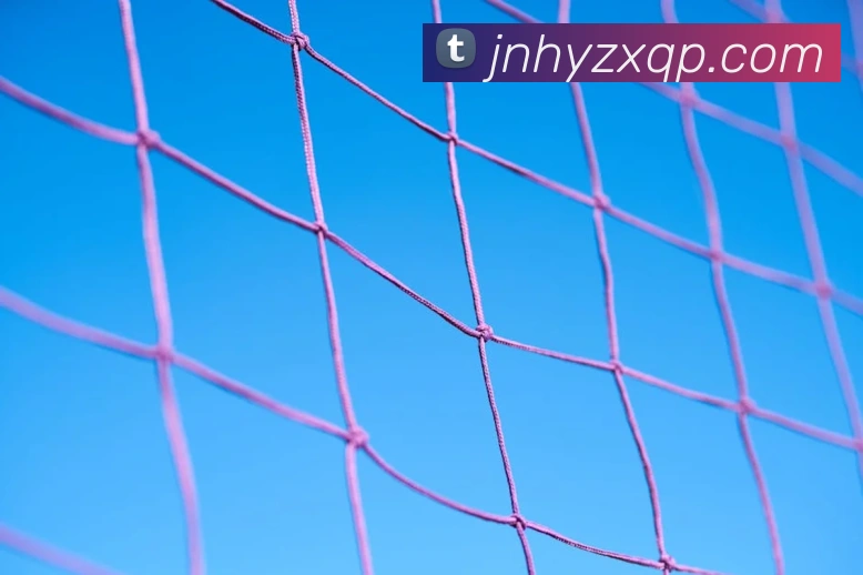 数据防护可视化